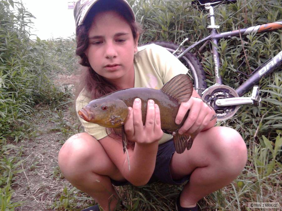 no podařilo se