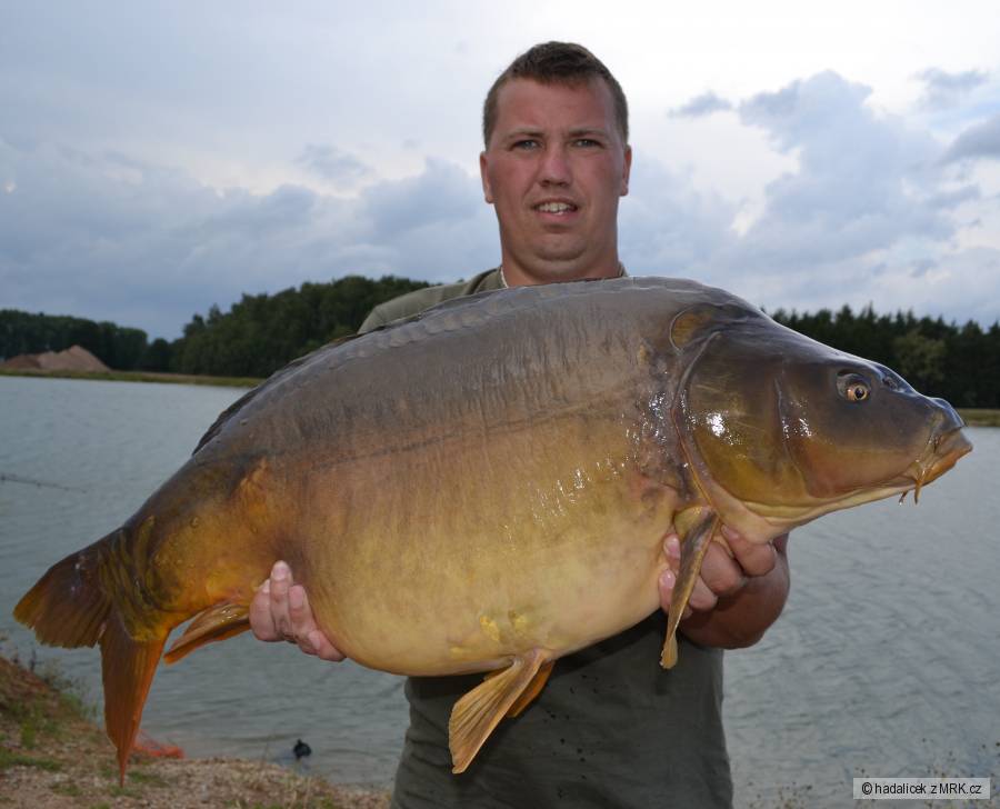 14kg