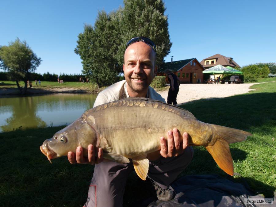 Feeder - Kapr 71 cm