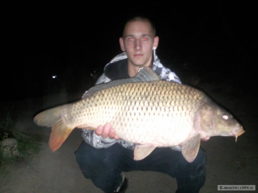 Kapor 70cm 10KG