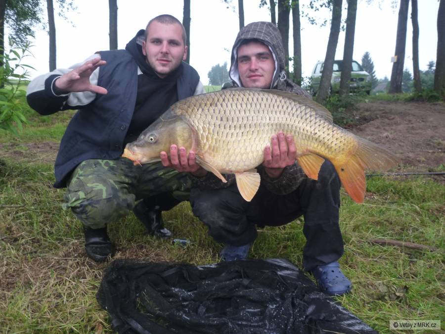 Fešák 82cm