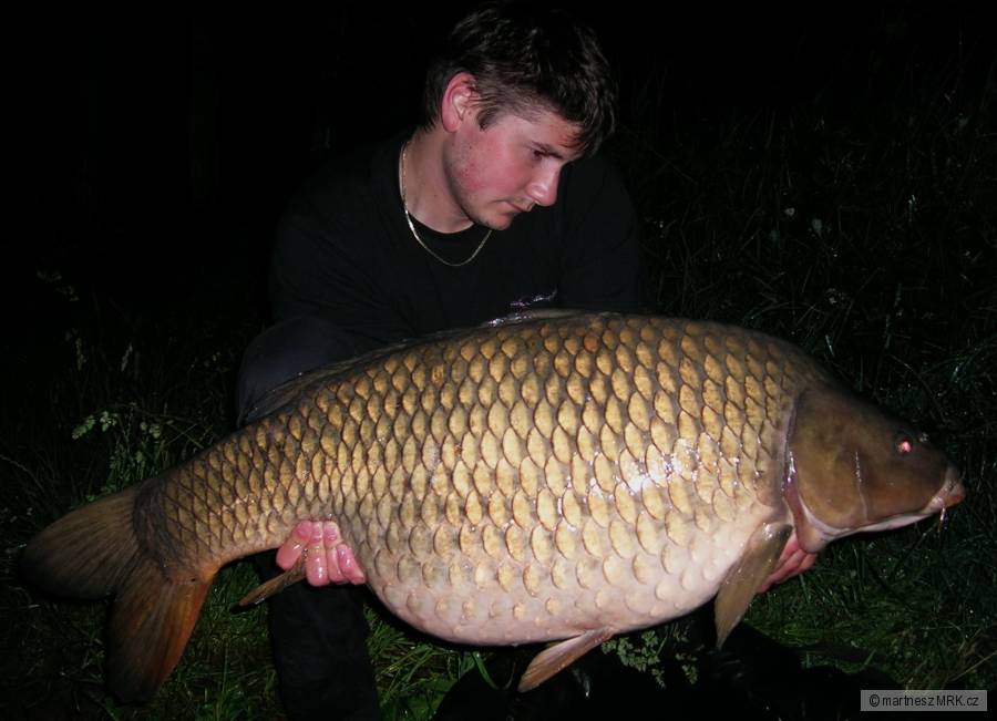 18,5 kg; 95 cm