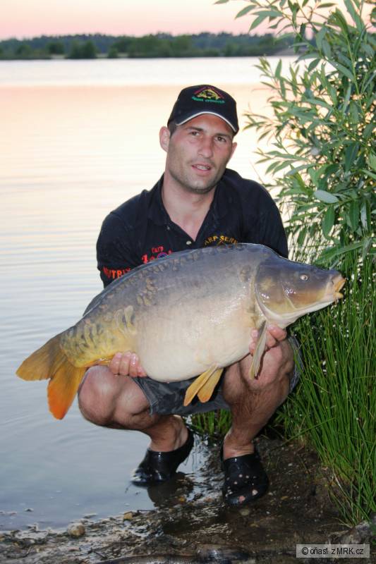 �t�t 2011