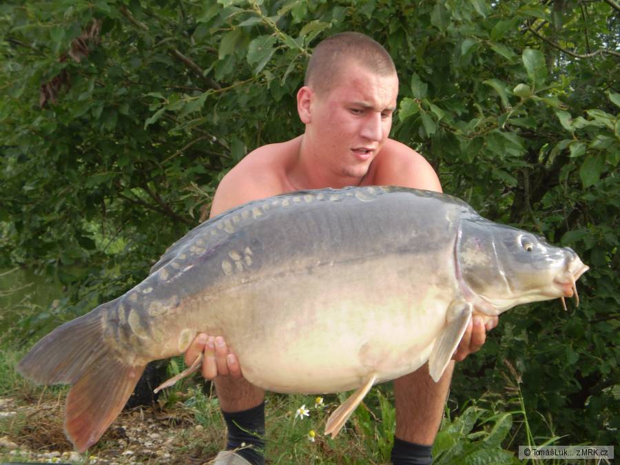 Rocky 18,4 kg 93 cm