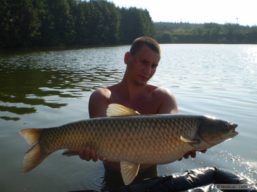 amur