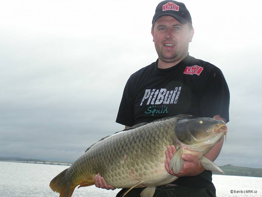 Dyje 5 - 21kg
