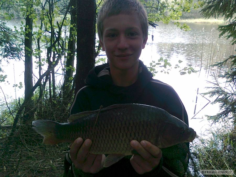 Kapr obecný 44cm