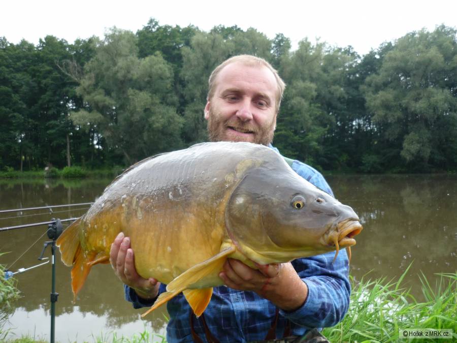 Kapr 82 cm 13 kg