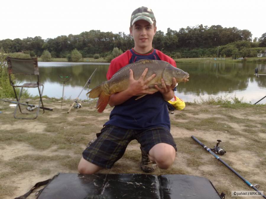 Kapr 71cm/ 10kg
