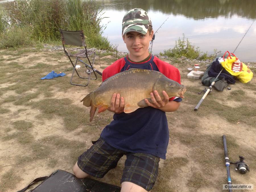 Kapr 71cm/ 10kg