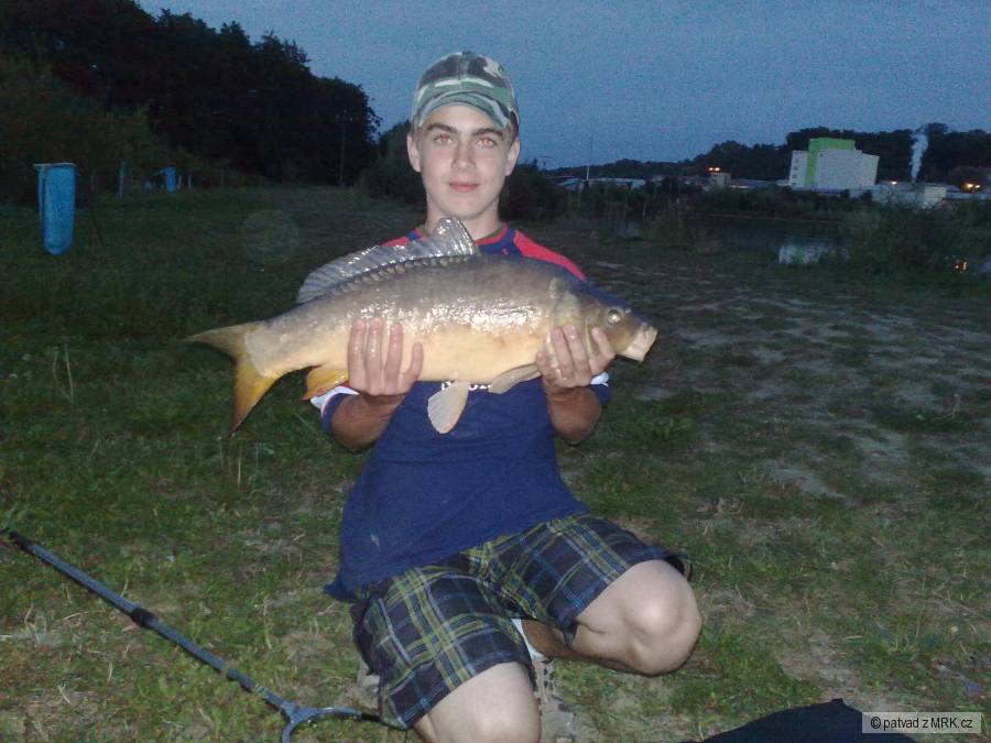 Kapr 73cm/ 10,5 kg