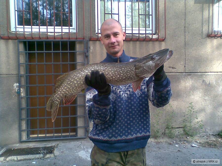 Štika 86
