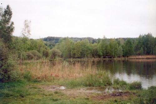 Senec