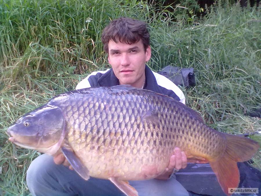 Kapr 80cm 12,5kg