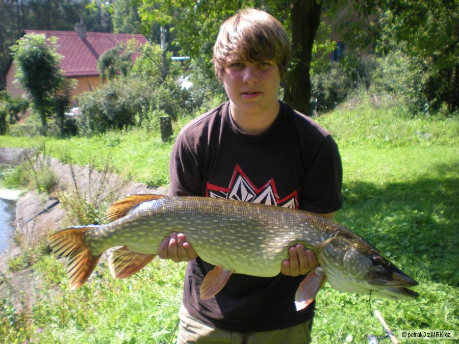 Šťička