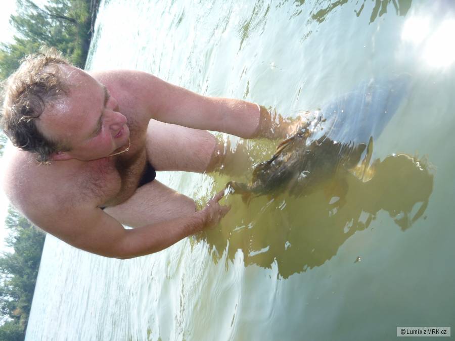 Kontrolní odlov