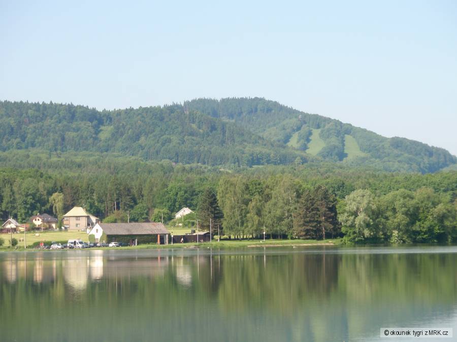 olesna