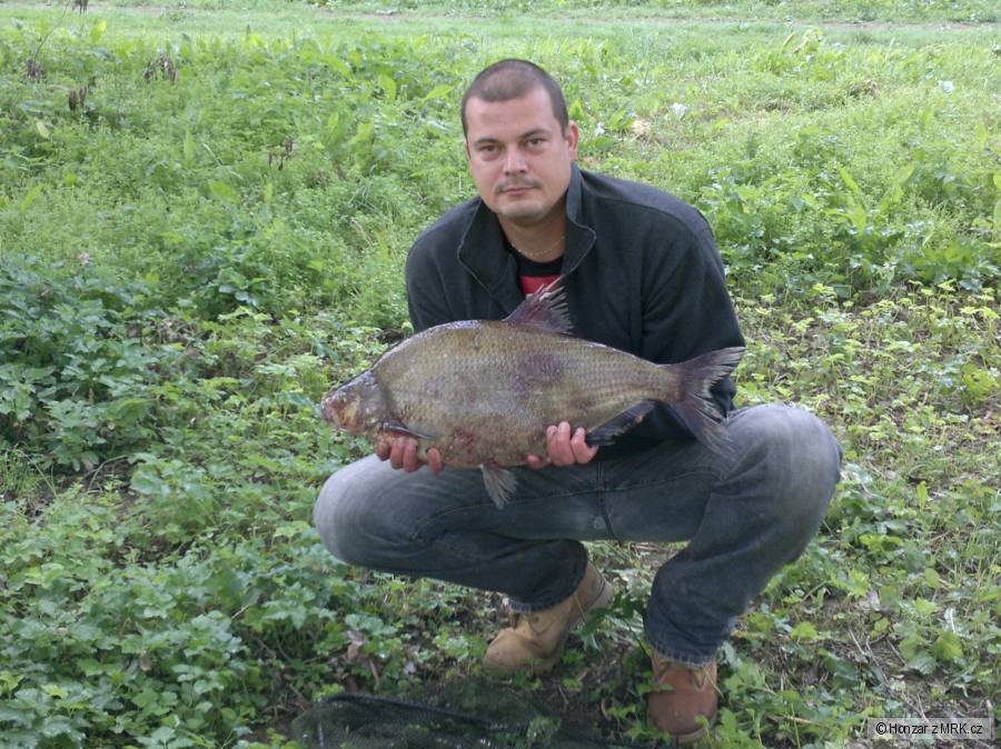 Cejn 66 - 4,8 Kg