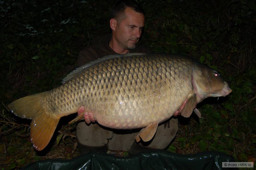 19.40 kg