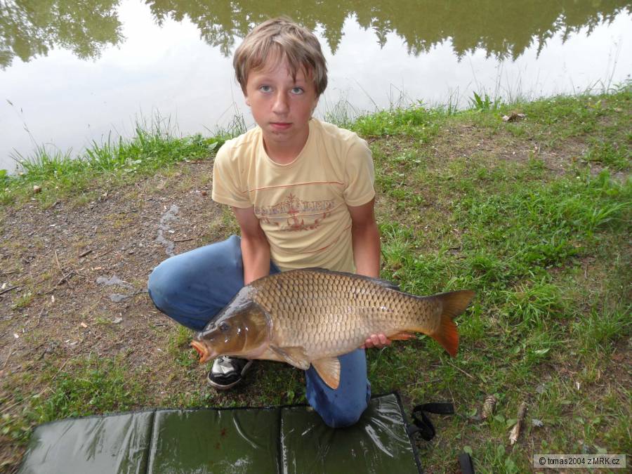 kapr 5 kg
