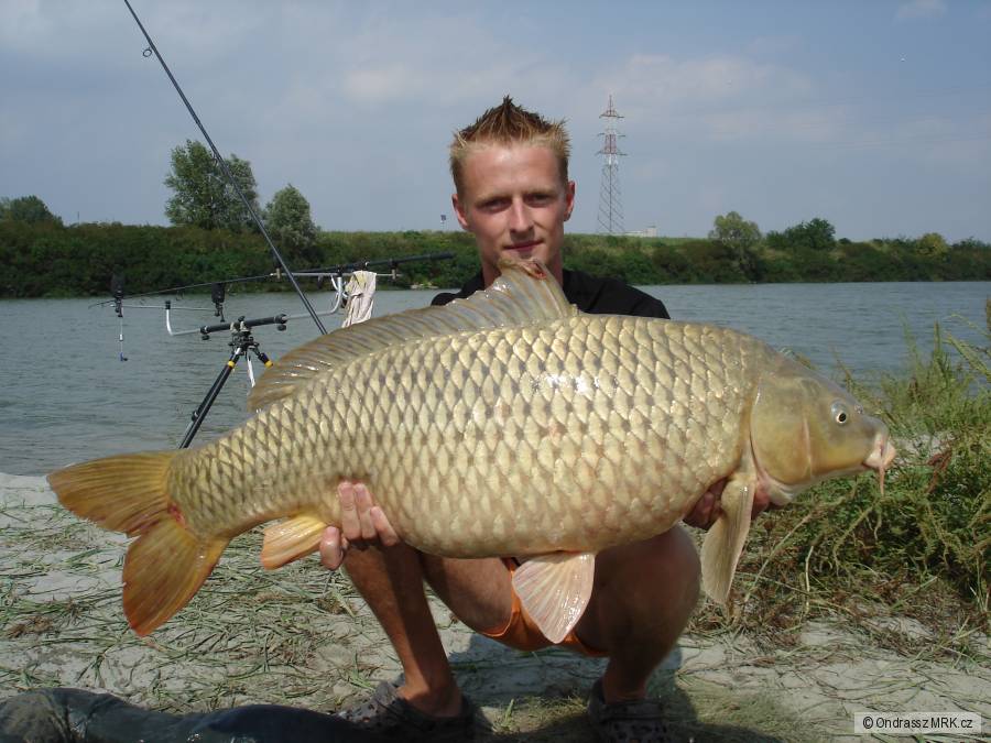 Carp Italie