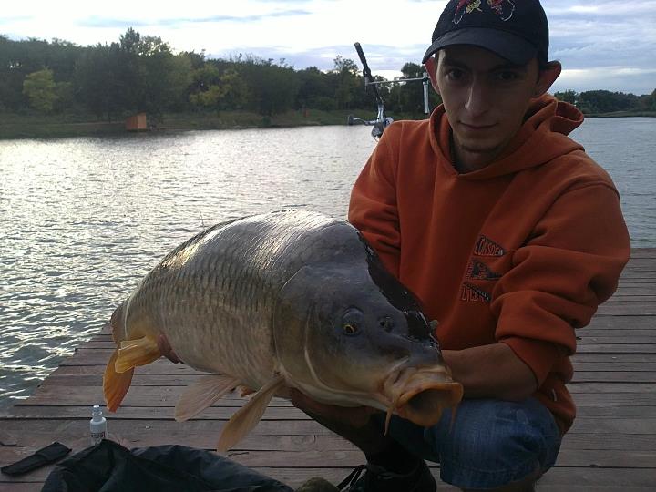 Kaprik 96cm 14,20Kg