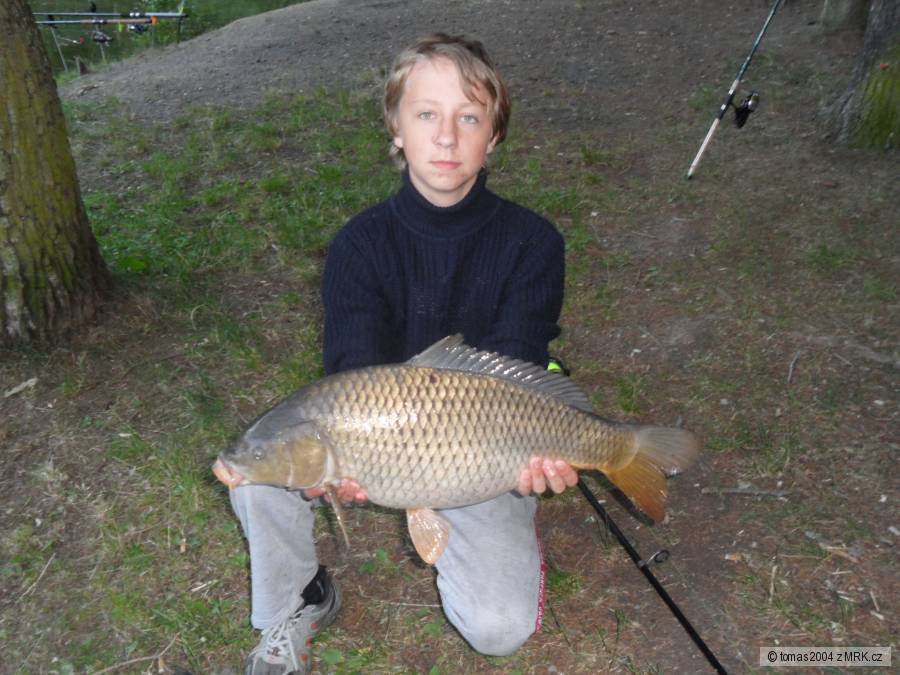 kapr 6kg