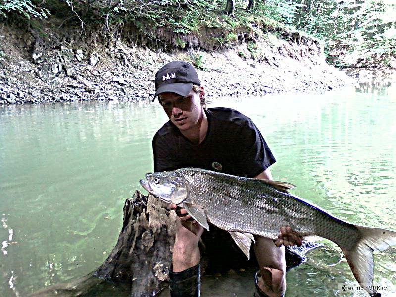 bolen