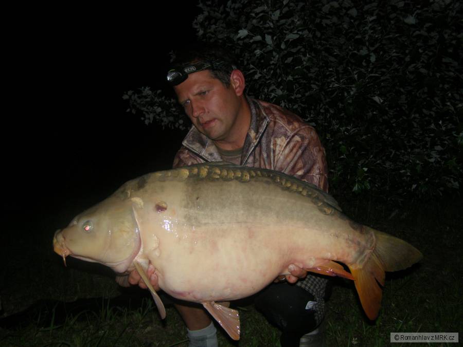 13kg
