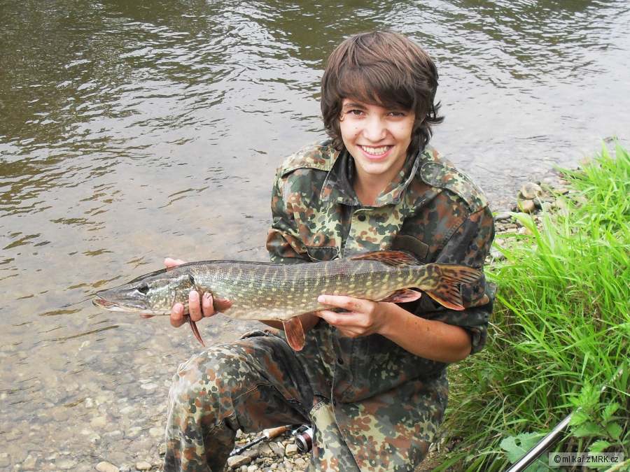 Štika z poloviny září