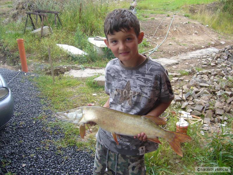 štika 66 cm