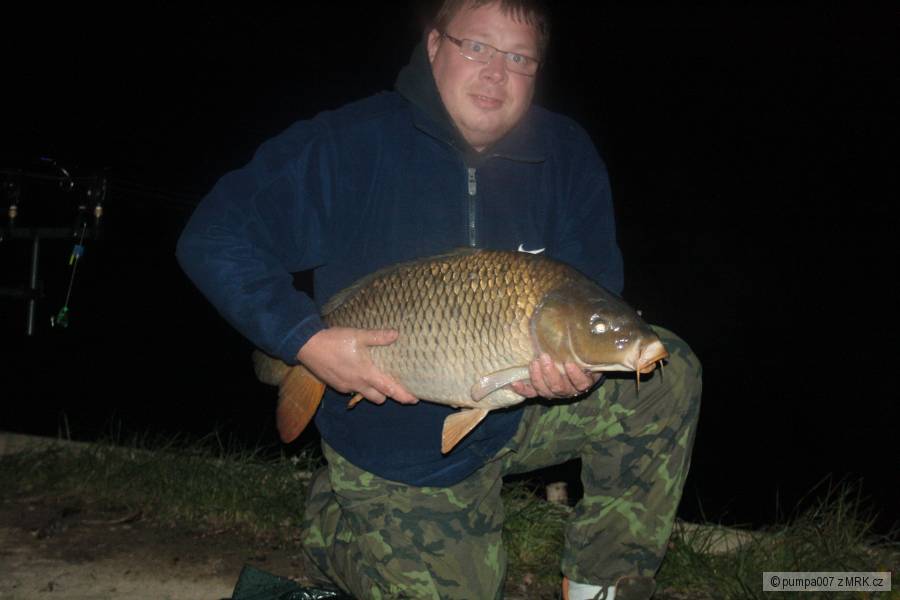 Kapr 80 cm 12 kg