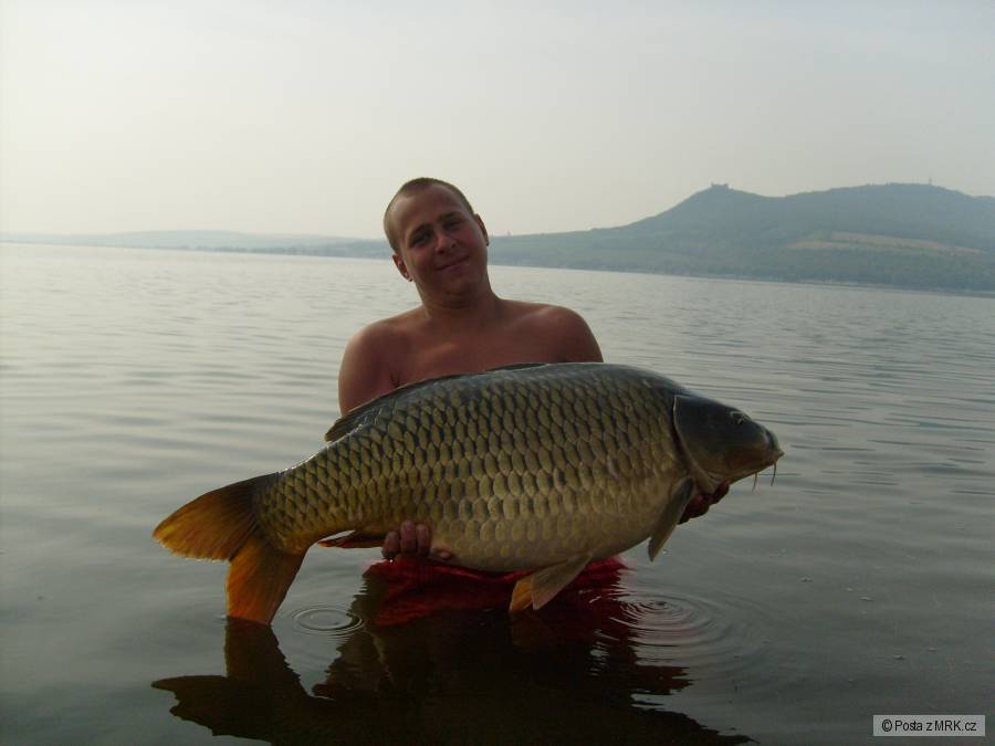 šupici