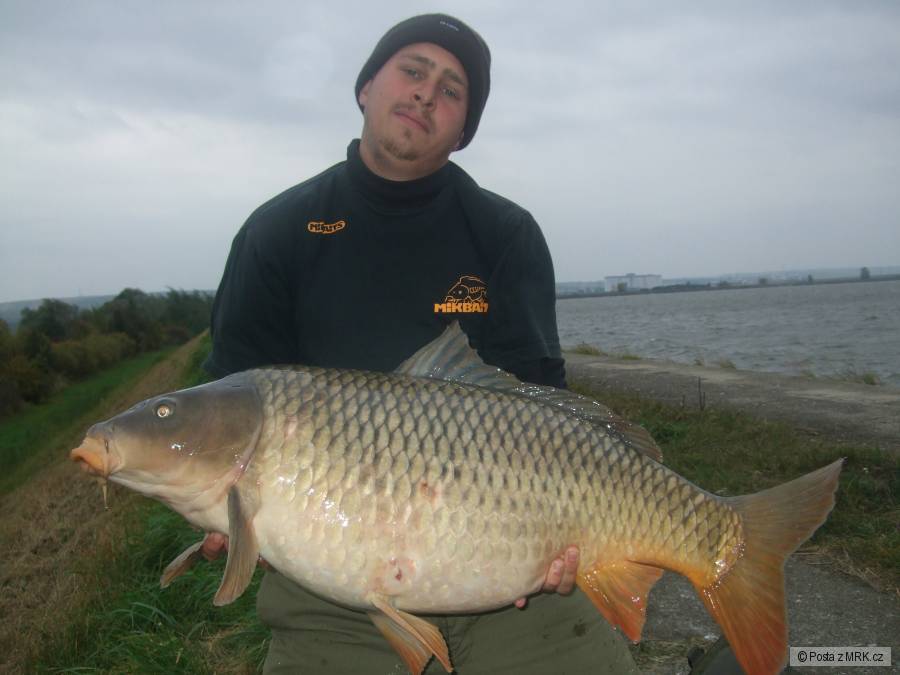Zatím osobáček 96cm 18.10kg