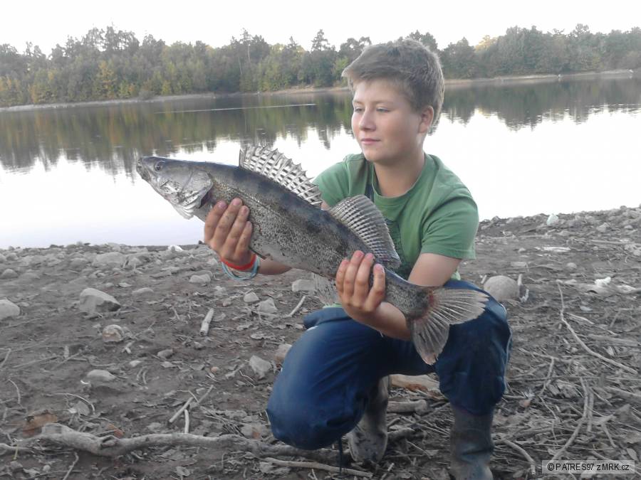 pekný zubáč 62cm