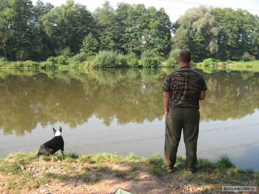 Pomocník při lovu