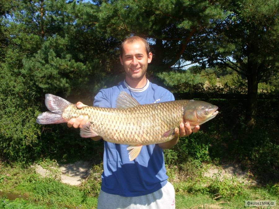 amur 80cm 7.5kg