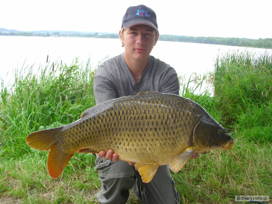 Svazový kapřík.