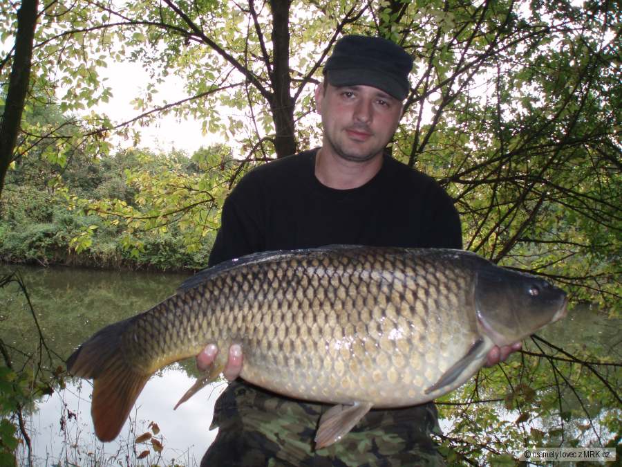 ,Svazovka' Říjen 2011