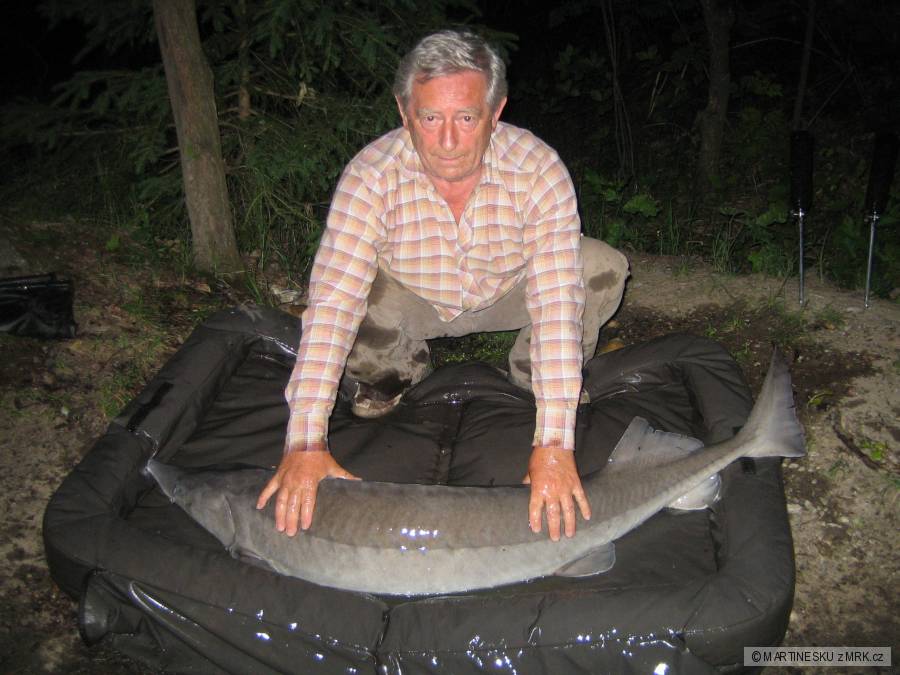 Najvacsia ryba zajazdu tatkov jesik 18,5kg