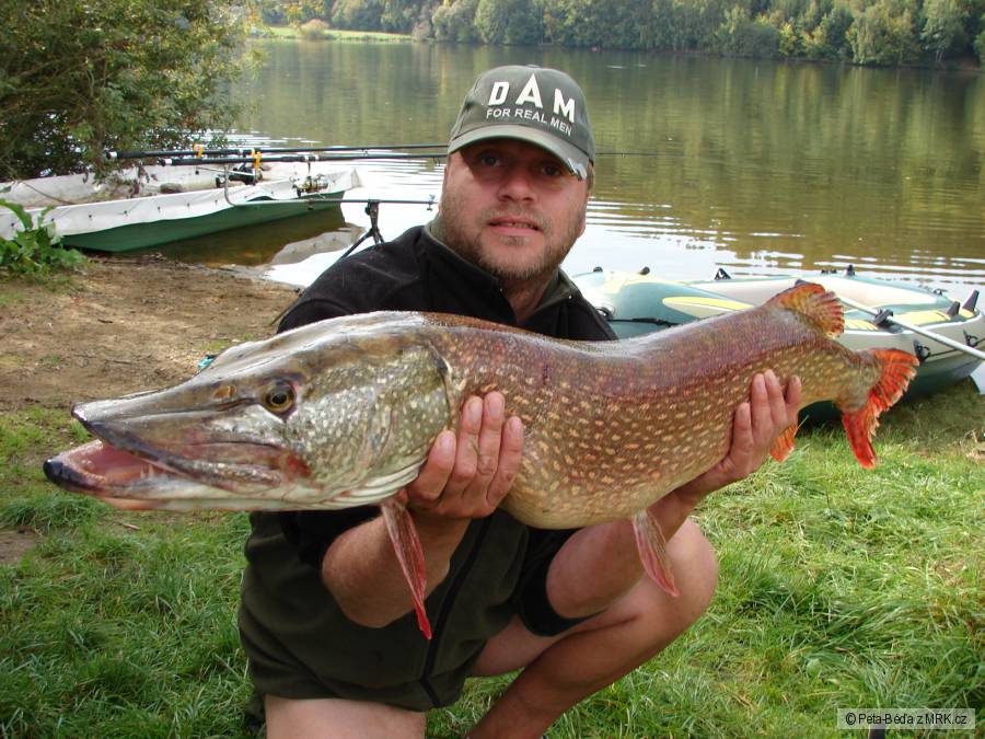 štika 116 cm