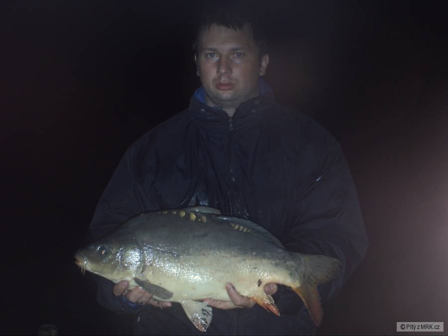 Kapřík 65cm
