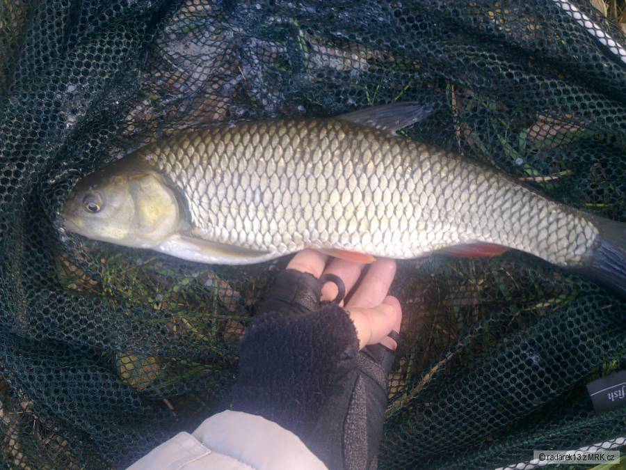 Morava 15.10.2010