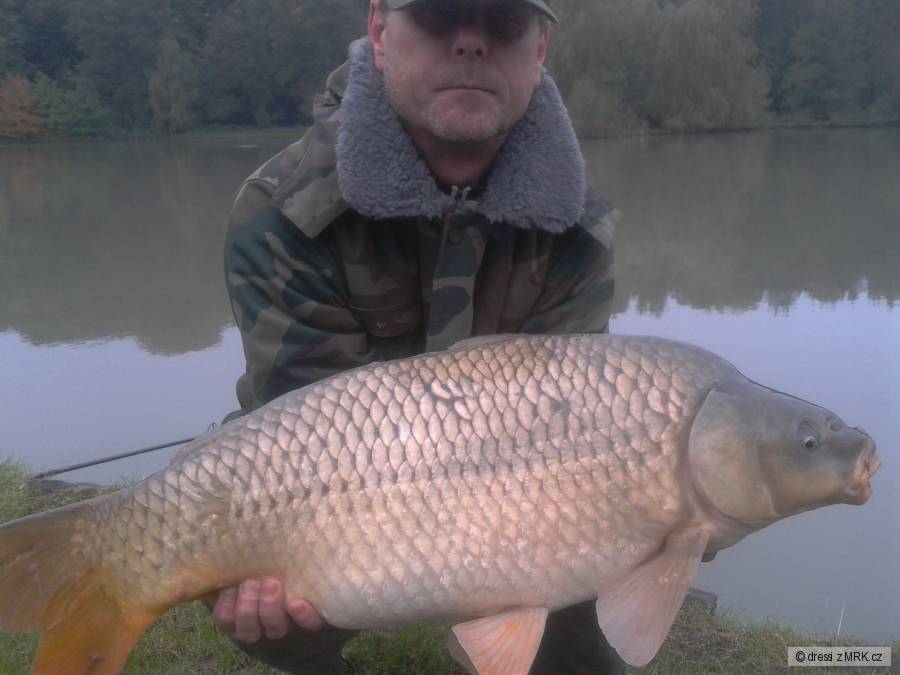 Krasavec s 11 kilogramy a 83 centimetry