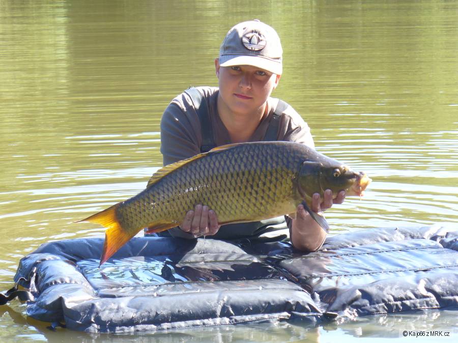7kg 74cm ryba bola vratena do vody