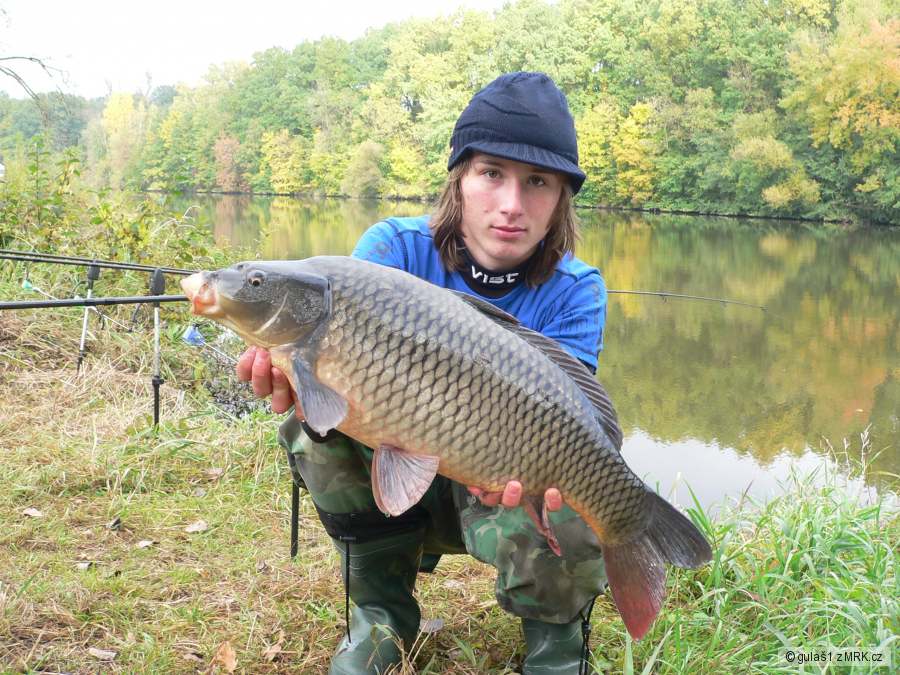 kapřík 64cm