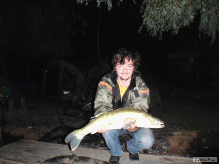 Candát 93 cm