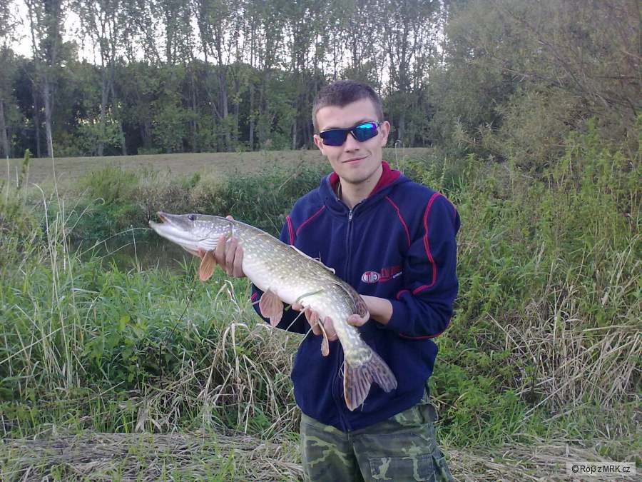 Štika