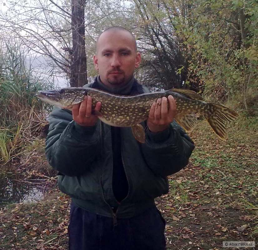 Štika 70 cm