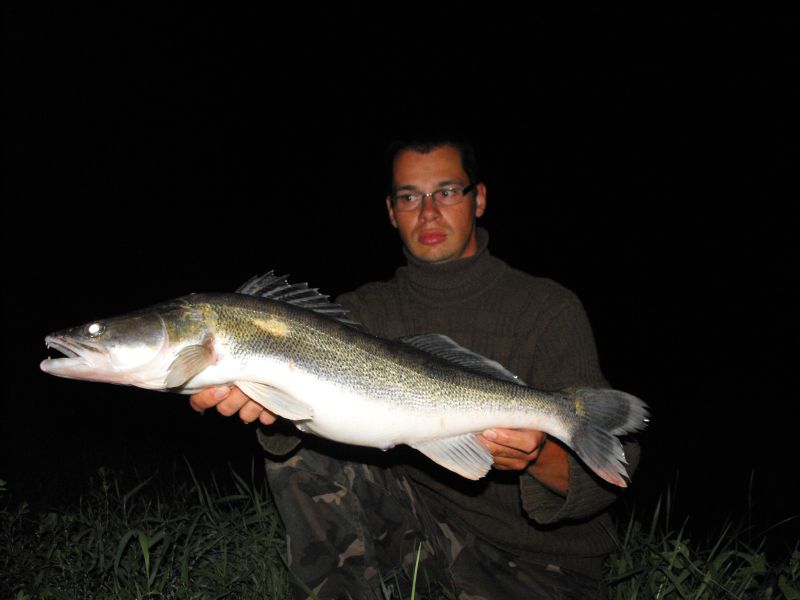 zubáč 75